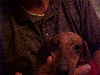 Sparky 3