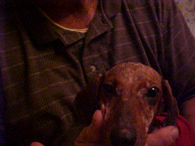 Sparky 3