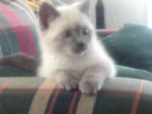 Who?  Me?