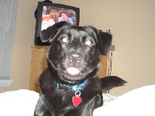 Sadie