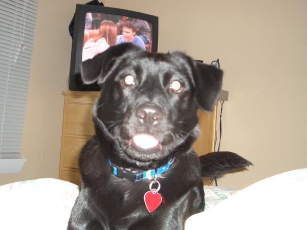 Sadie