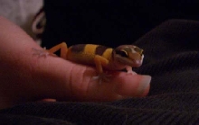 Eddie on *his* first day home
