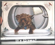 Giz in the Dryer
