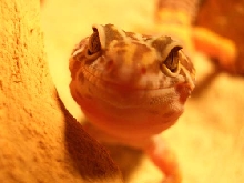 Smile for the camera...
