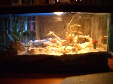 Jimmie's New Digs