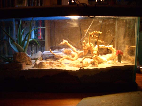 Jimmie's New Digs