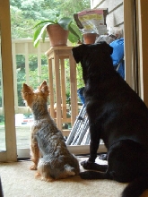 Sadie & Alex