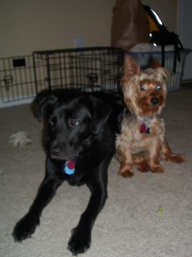 Sadie & Alex