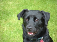 Sadie enjoying the outdoors
