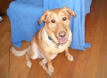 Sandy 1998-2004