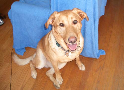 Sandy 1998-2004