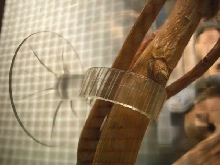 Suction cup