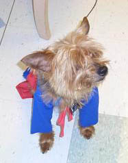 Super Stinky!