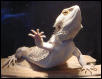 "Do the wave!"