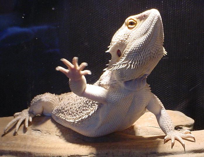"Do the wave!"