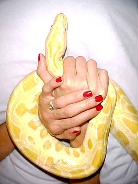 ACE
