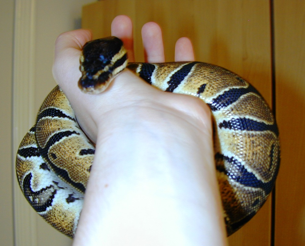 me holding honey