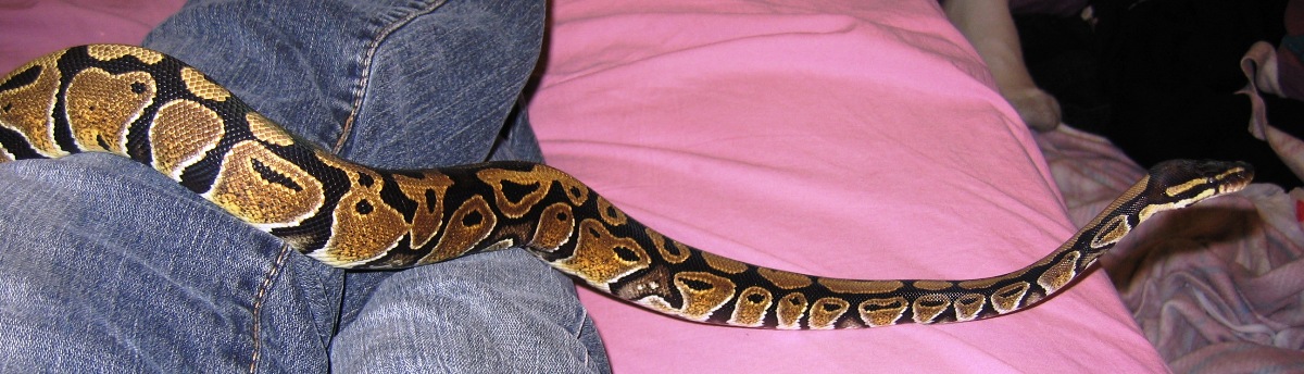 honey looking gorgeous
