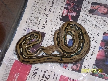 what is it 2