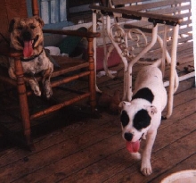 Dakota and Petey