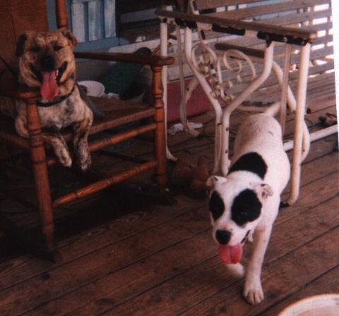 Dakota and Petey