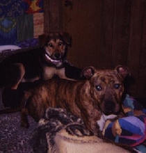 holly and jasmine