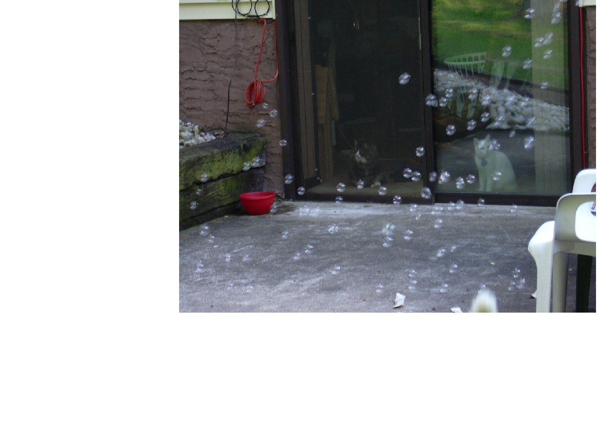 Minxy w bubbles2