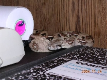 Playing hide and seek