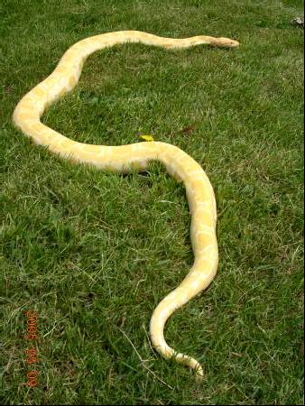 Willy outside