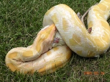 Willy  Outside