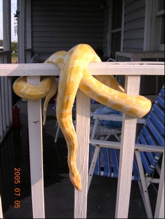 Hanging out