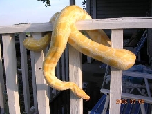hanging out 2