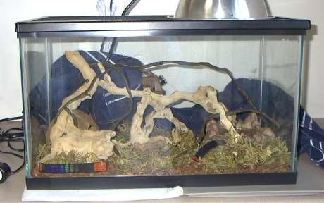 Isis Habitat