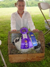 GLITTER THE WINNING RABBIT