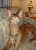 Athena's 10th Birthday