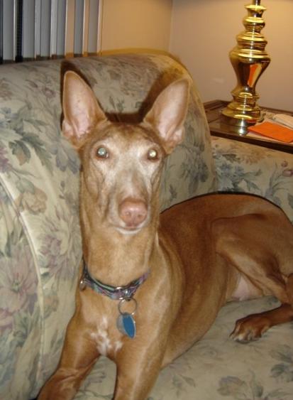 Athena's 10th Birthday