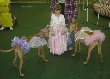 Fairy Princess and her sprites #1
