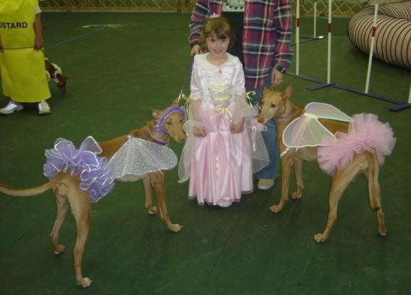 Fairy Princess and her sprites #1
