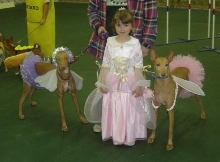 Fairy Princess and her sprites #2