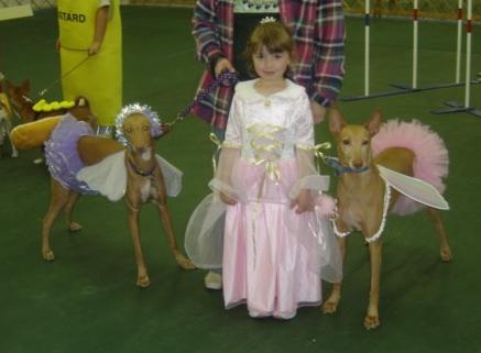 Fairy Princess and her sprites #2