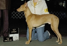 A goofy first show photo