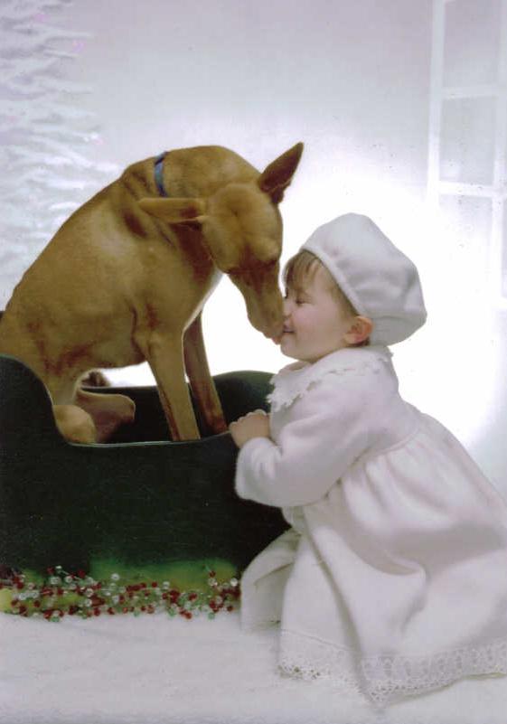 Christmas kiss 2004