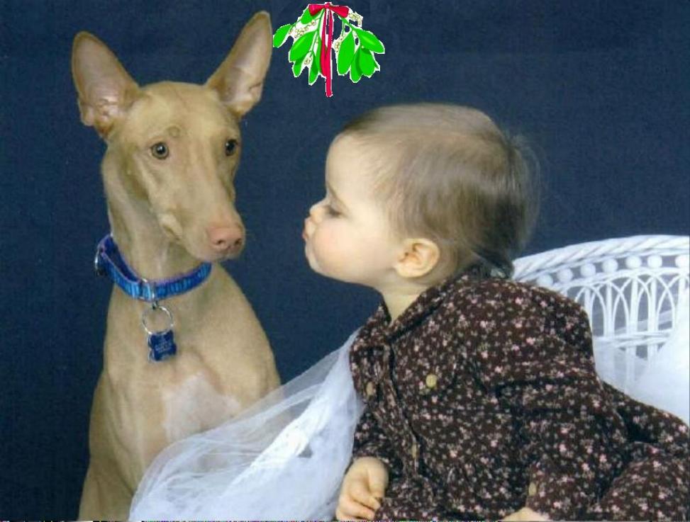 Christmas kiss