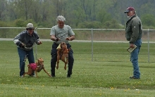 Coursing Release Shot