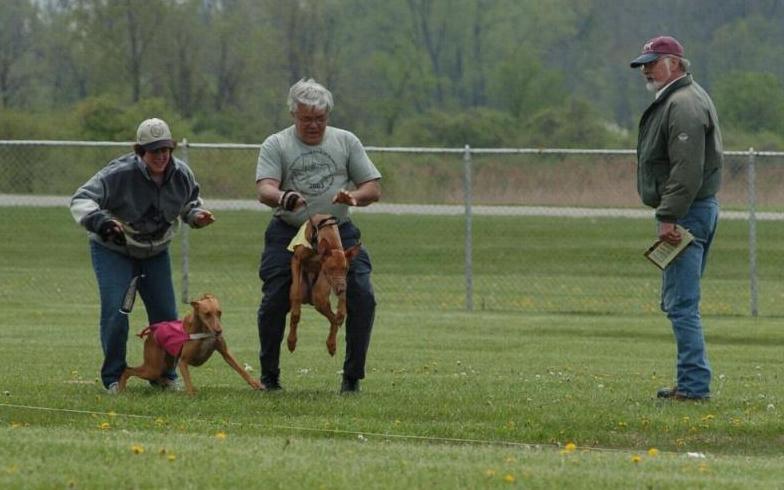 Coursing Release Shot