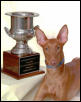 Venus' trophy