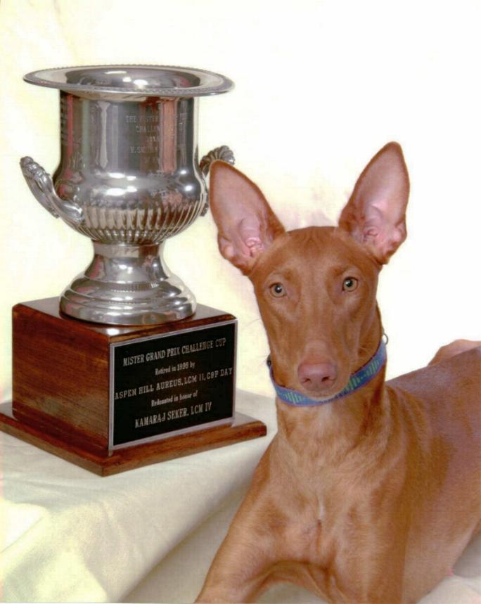 Venus' trophy