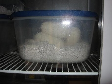 Eggs are cooking laid March 1st