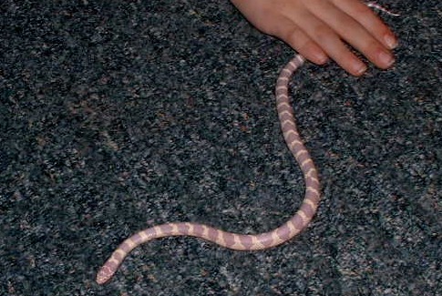 on floor