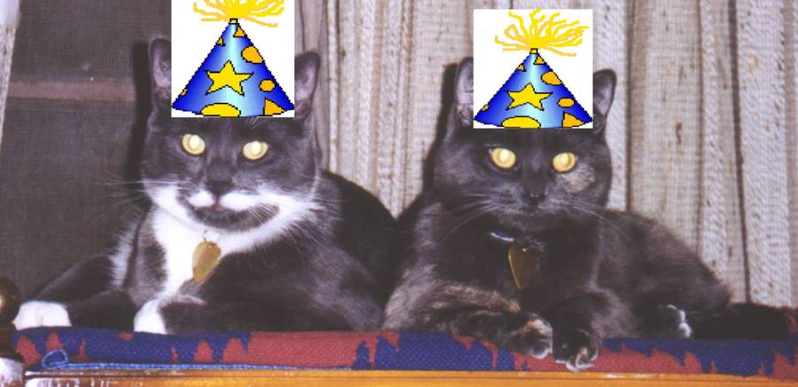 Mickey & Meesha's 3rd Birthday